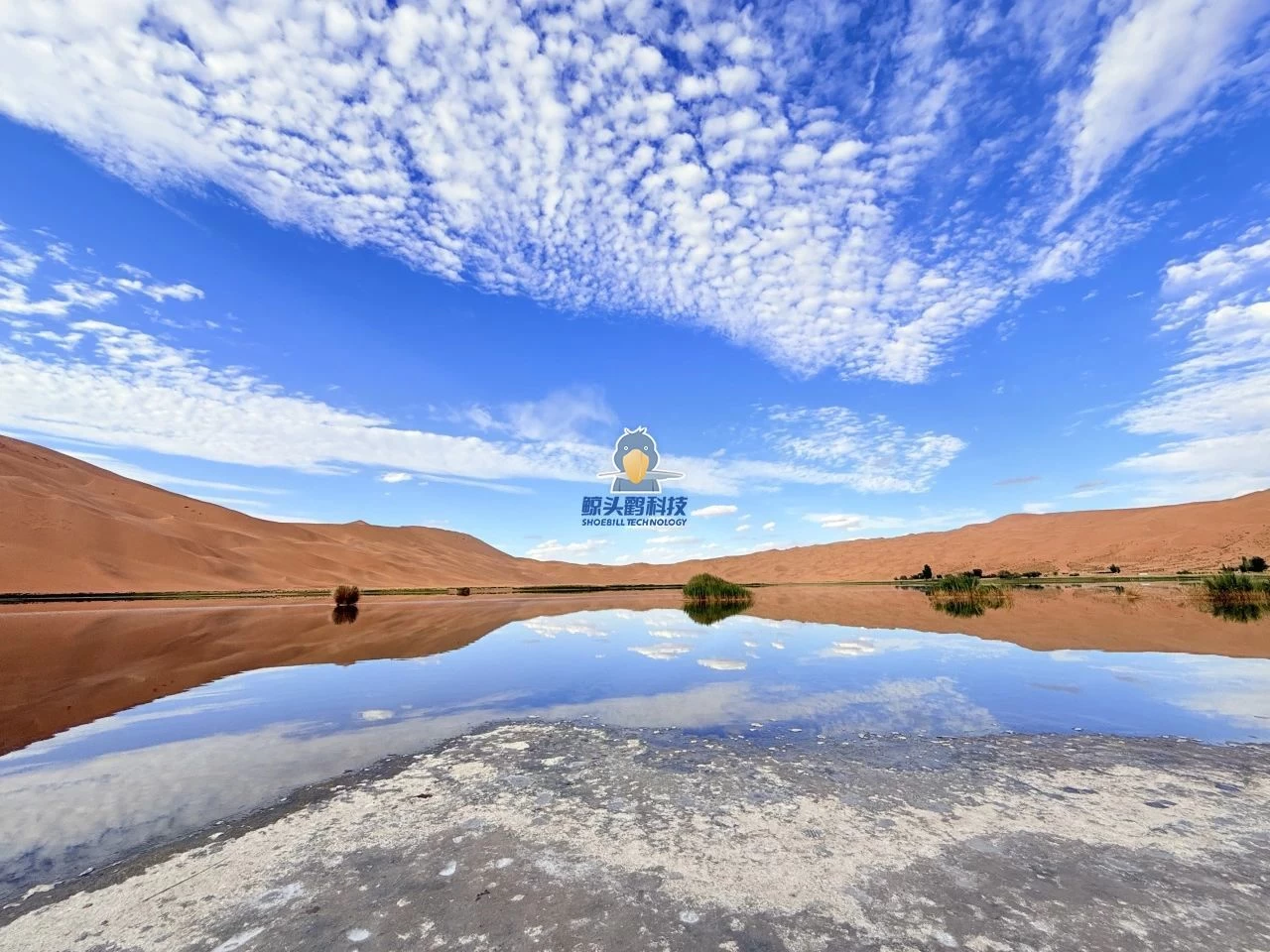 Mạo hiểm vào Trái tim của Sa mạc Mạo hiểm vào Trái tim của Sa mạc